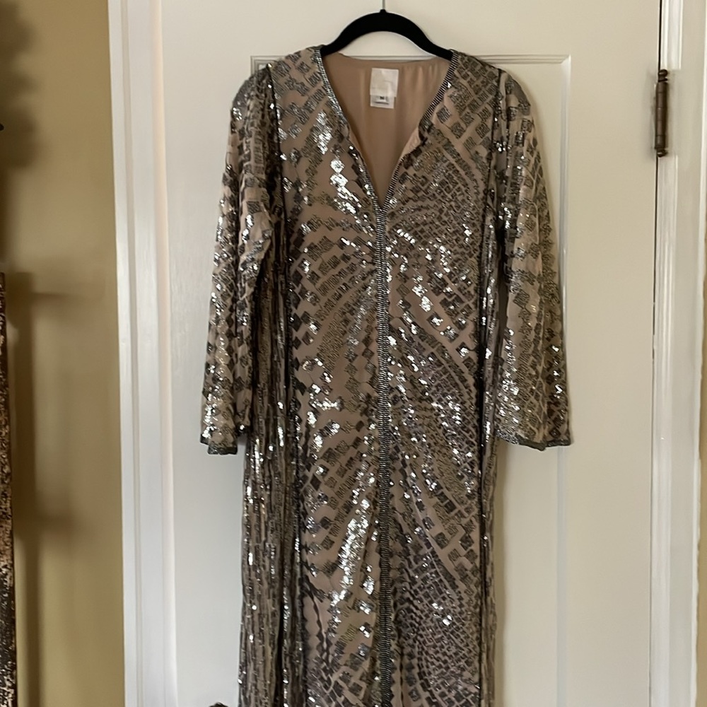 ✨ Anna Sui × Free People Silver Sequin Maxi Dress ✨